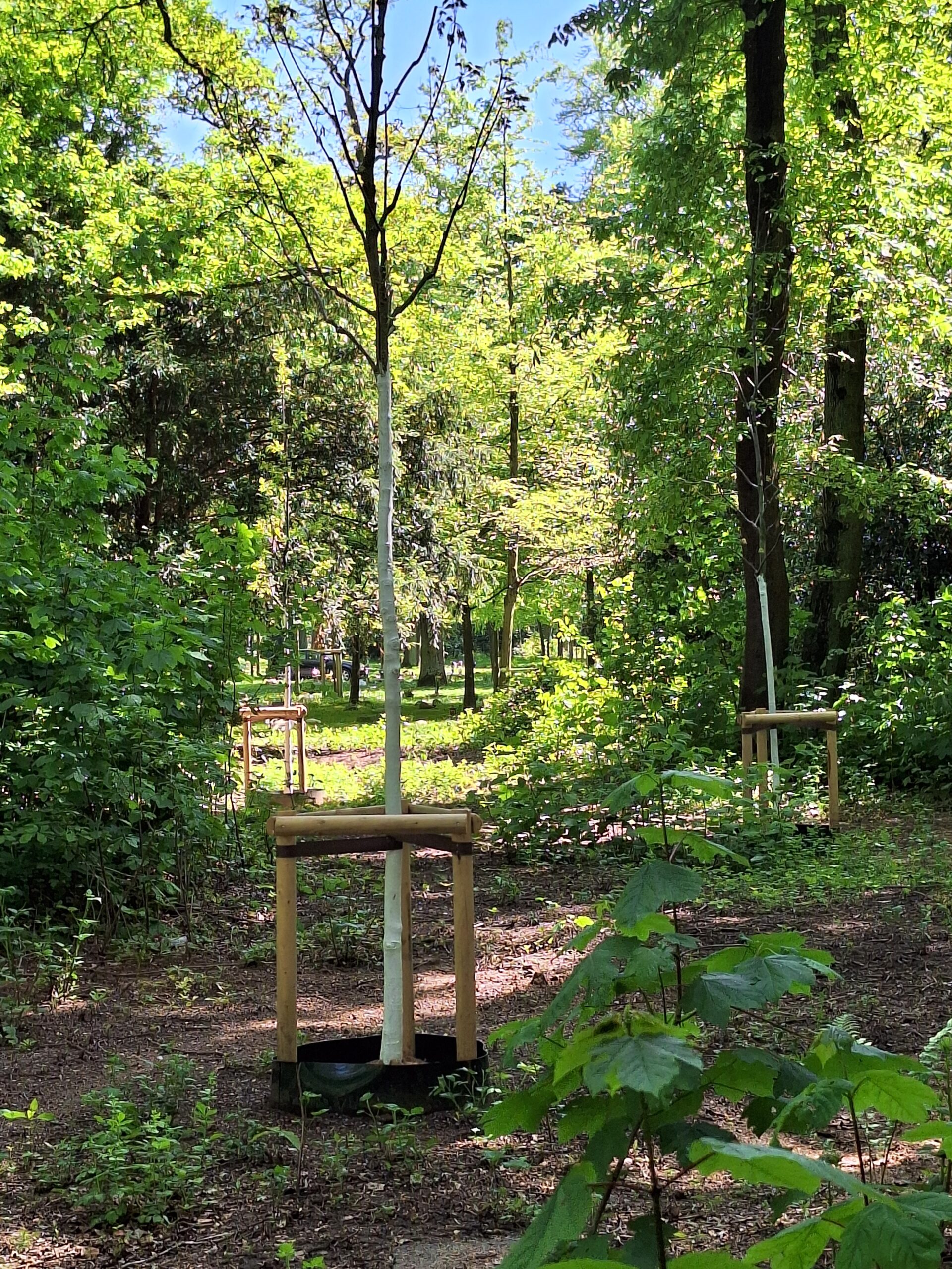 Waldfriedhof