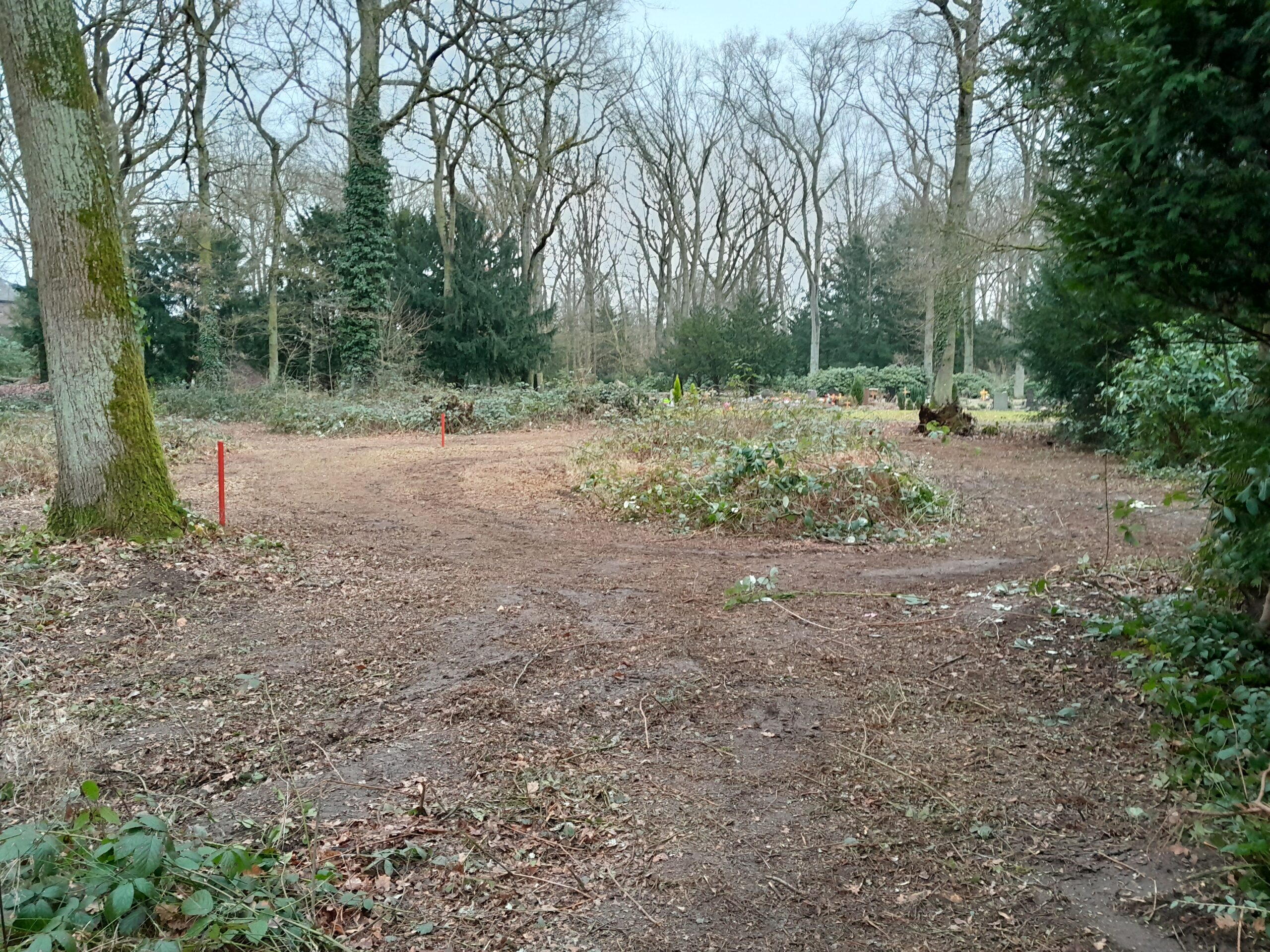 Waldfriedhof