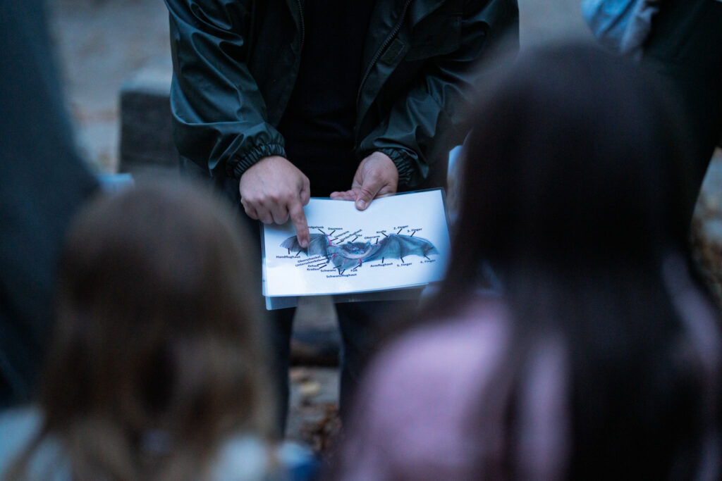 Natur entdecken im Biegerpark: Exkursionen für Familien 2026