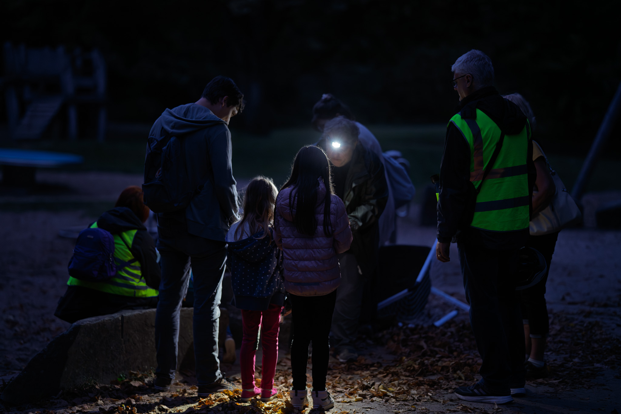 Fledermausexkursion im Biegerpark am 28. August