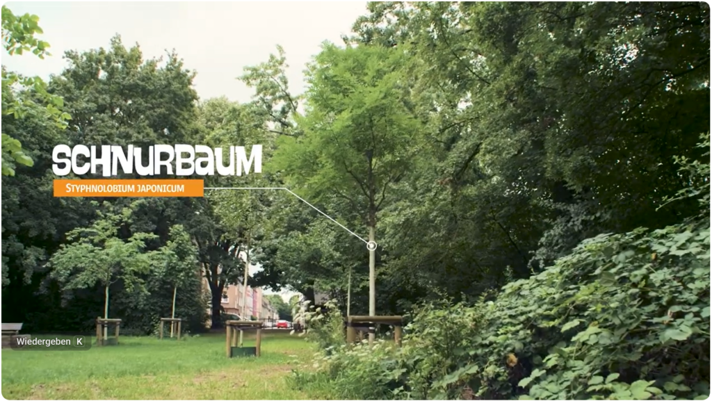 Videos über die Klimahaine